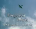 Forgotten Pilots