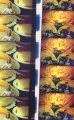 Secondhand Daylight: filmstrip featuring Alan Oliver